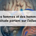 APPEL A VOLONTAIRES - Mécanismes cérébraux de l’olfaction